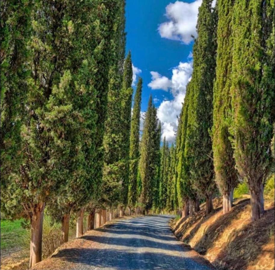 Agriturismo Fattoria Il Piano - Casa Tosca - San Gimignano Exterior foto